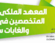 اكتشف تفاصيل مباراة IRTSEF سلا 2025، من شروط التسجيل والوثائق المطلوبة إلى مراحل الانتقاء. دليل شامل للولوج إلى المعهد الملكي للتقنيين المتخصصين في المياه والغابات