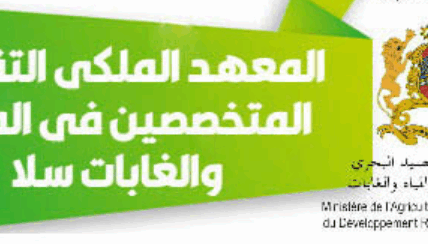 اكتشف تفاصيل مباراة IRTSEF سلا 2025، من شروط التسجيل والوثائق المطلوبة إلى مراحل الانتقاء. دليل شامل للولوج إلى المعهد الملكي للتقنيين المتخصصين في المياه والغابات